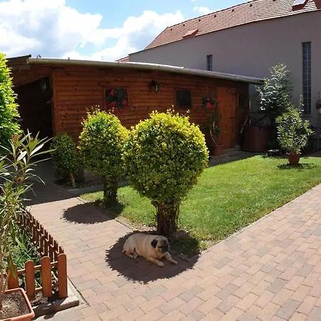 Πανσιόν Renata Vendeghaz 3*