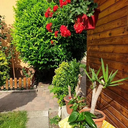 Renata Vendeghaz Πανσιόν Έγκερ